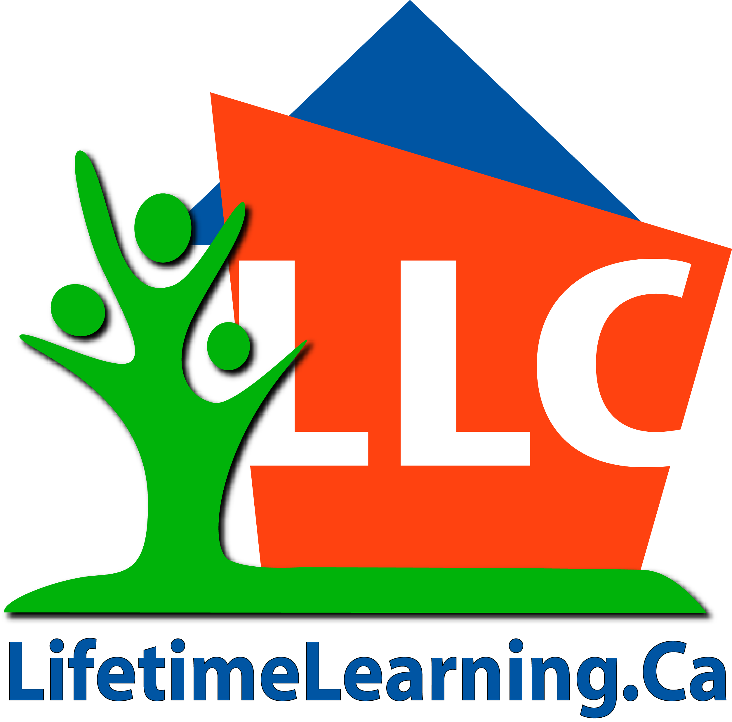LLC Logo
