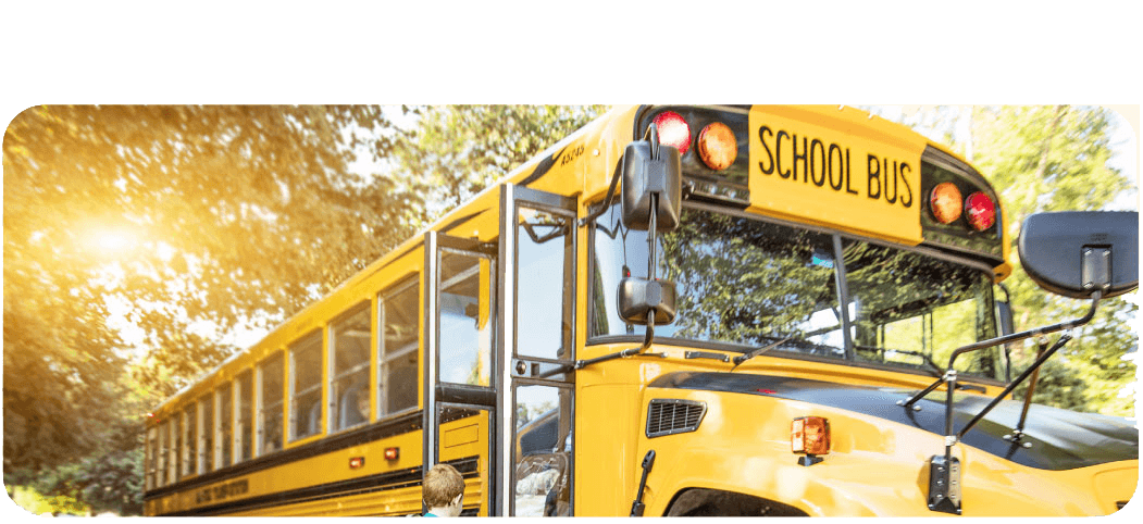 Picture of bus