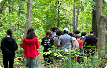 Students walking through forest