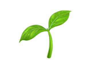 Seedling graphic