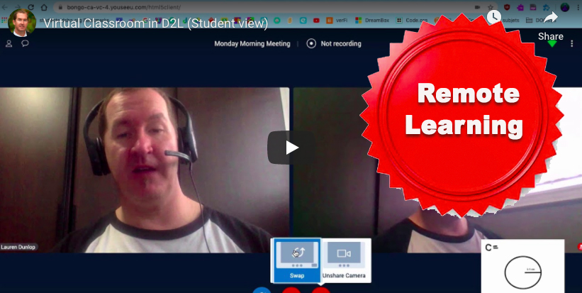 Virtual Meetings